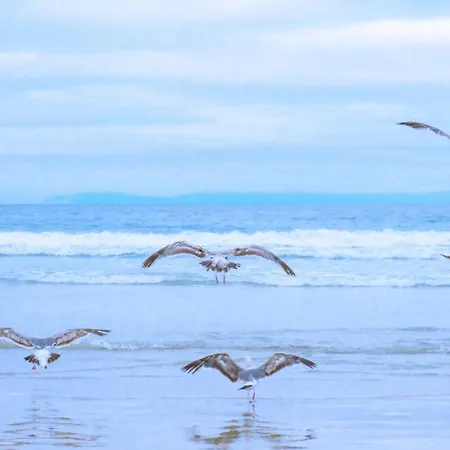Vakantiehuis Mooy Met Sauna - Landal Park Ooghduyne Aan Zee *