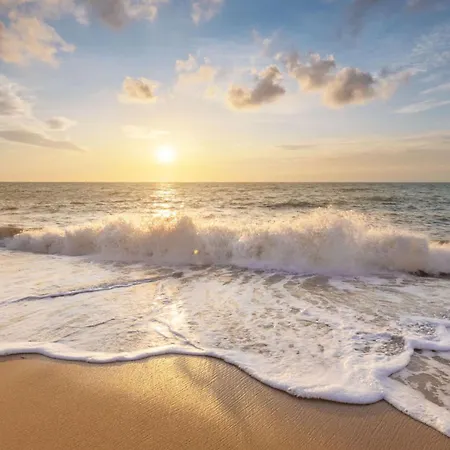 Vakantiehuis Mooy Met Sauna - Landal Park Ooghduyne Aan Zee *