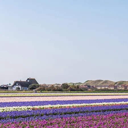 Mooy Met Sauna - Landal Park Ooghduyne Aan Zee Vakantiehuis *